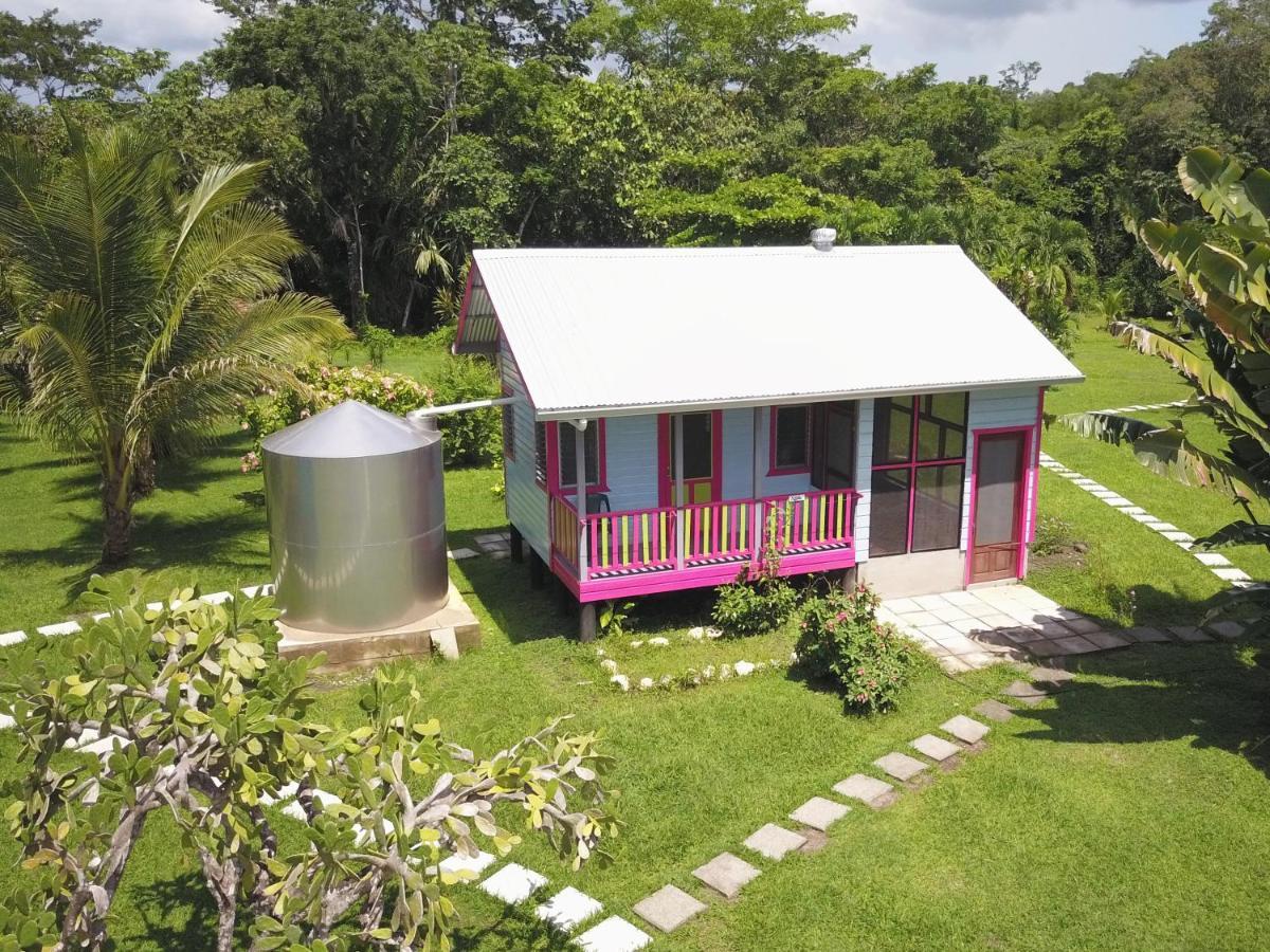 Lower Dover Jungle Lodge & Maya Ruins Unitedville ภายนอก รูปภาพ