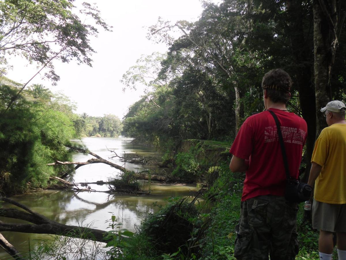 Lower Dover Jungle Lodge & Maya Ruins Unitedville ภายนอก รูปภาพ