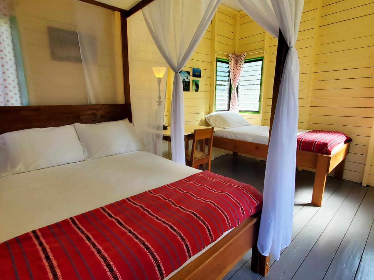 Lower Dover Jungle Lodge & Maya Ruins Unitedville ภายนอก รูปภาพ