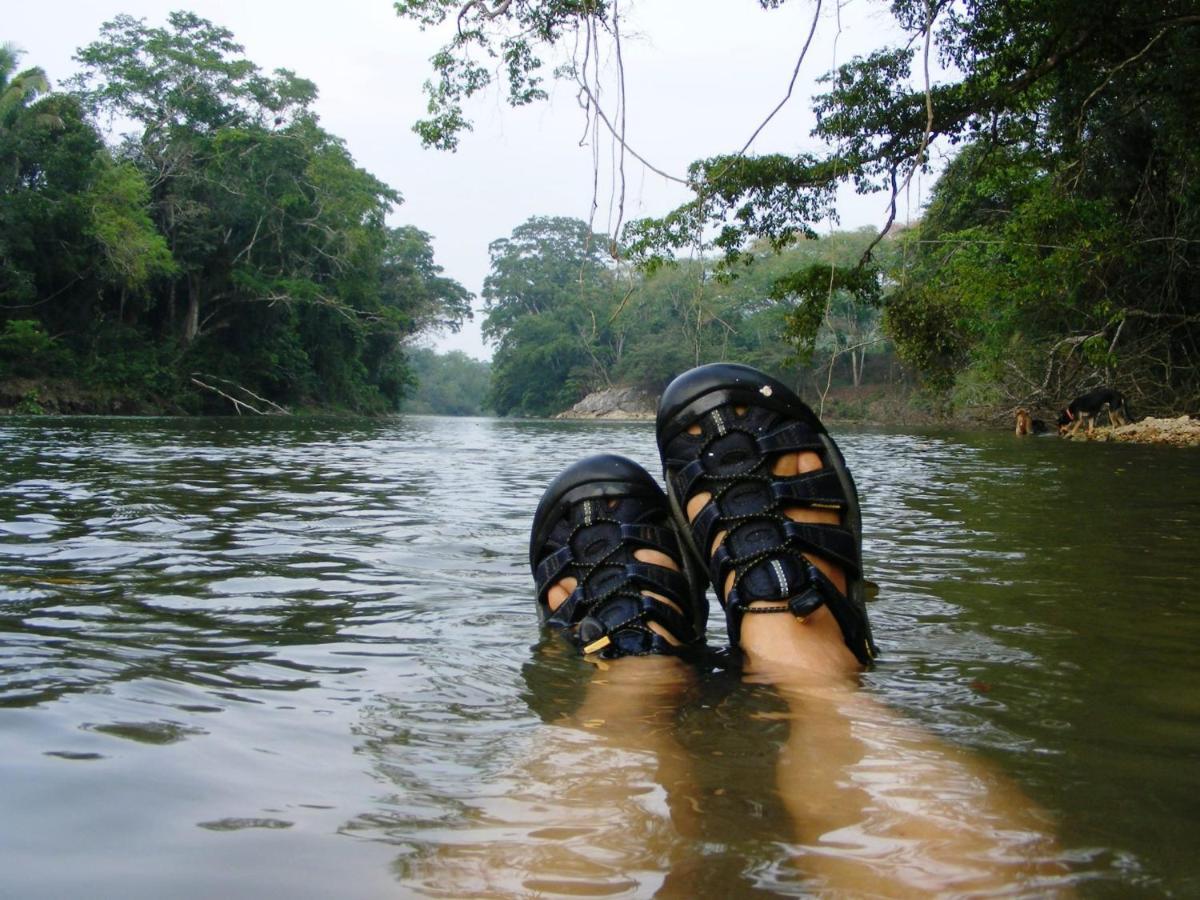Lower Dover Jungle Lodge & Maya Ruins Unitedville ภายนอก รูปภาพ