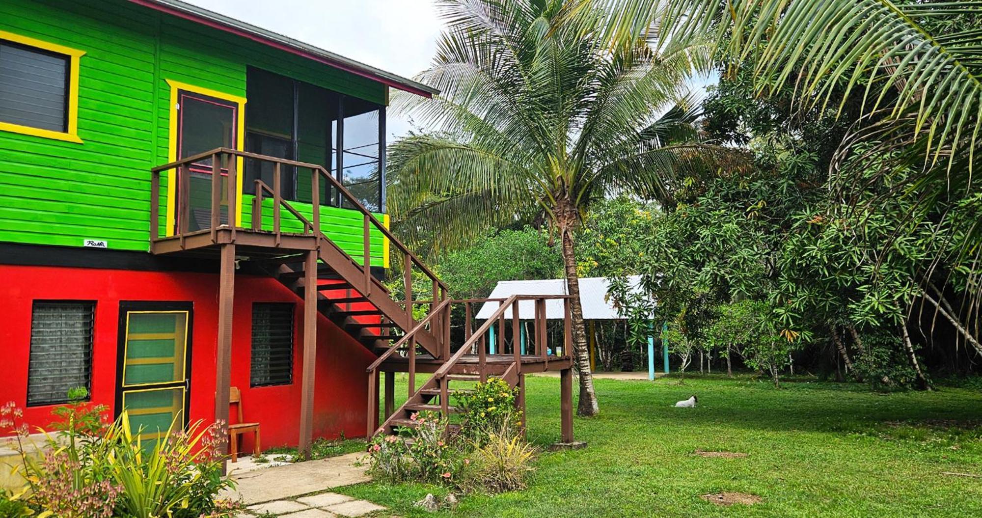 Lower Dover Jungle Lodge & Maya Ruins Unitedville ห้อง รูปภาพ