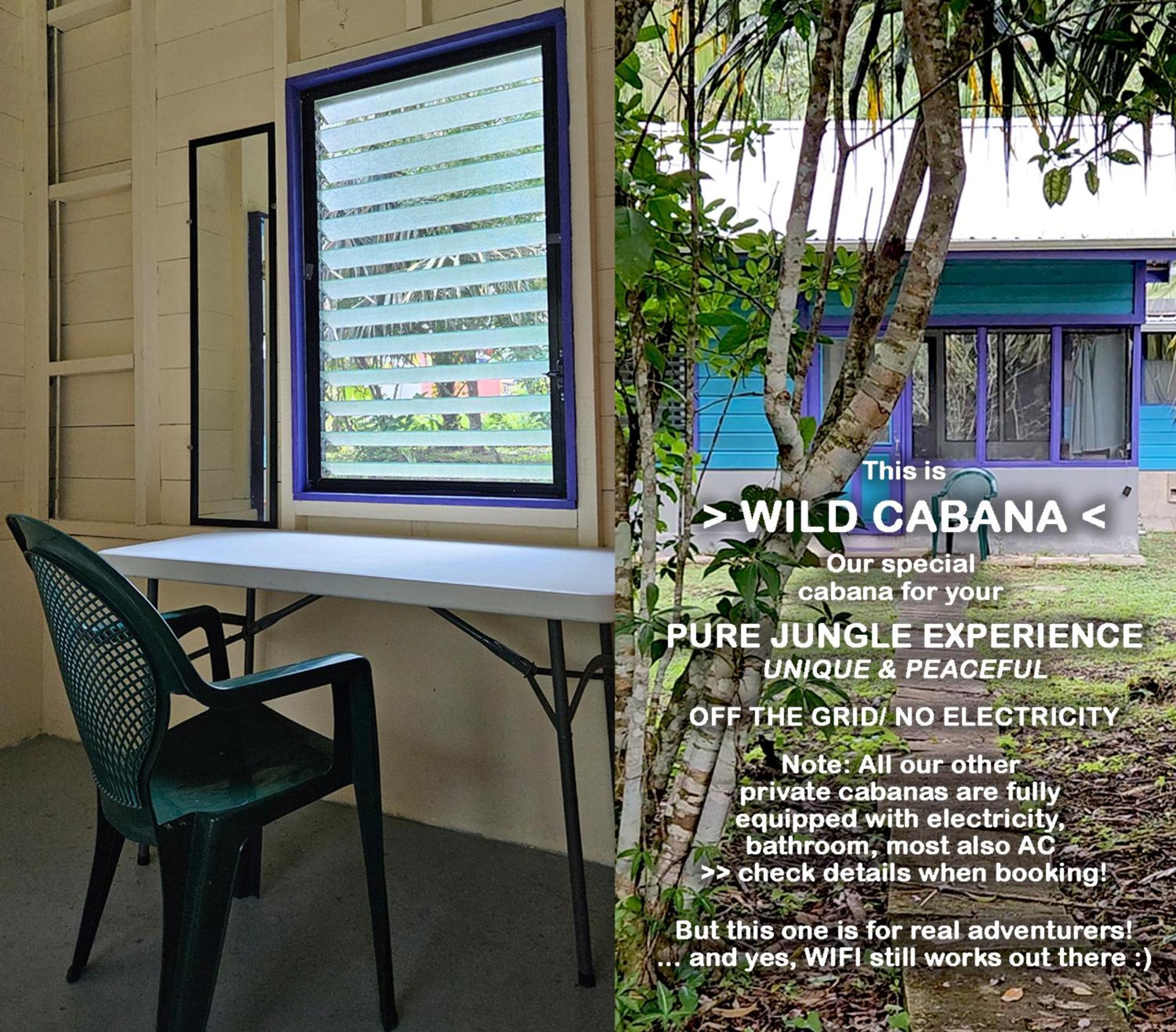 Lower Dover Jungle Lodge & Maya Ruins Unitedville ห้อง รูปภาพ