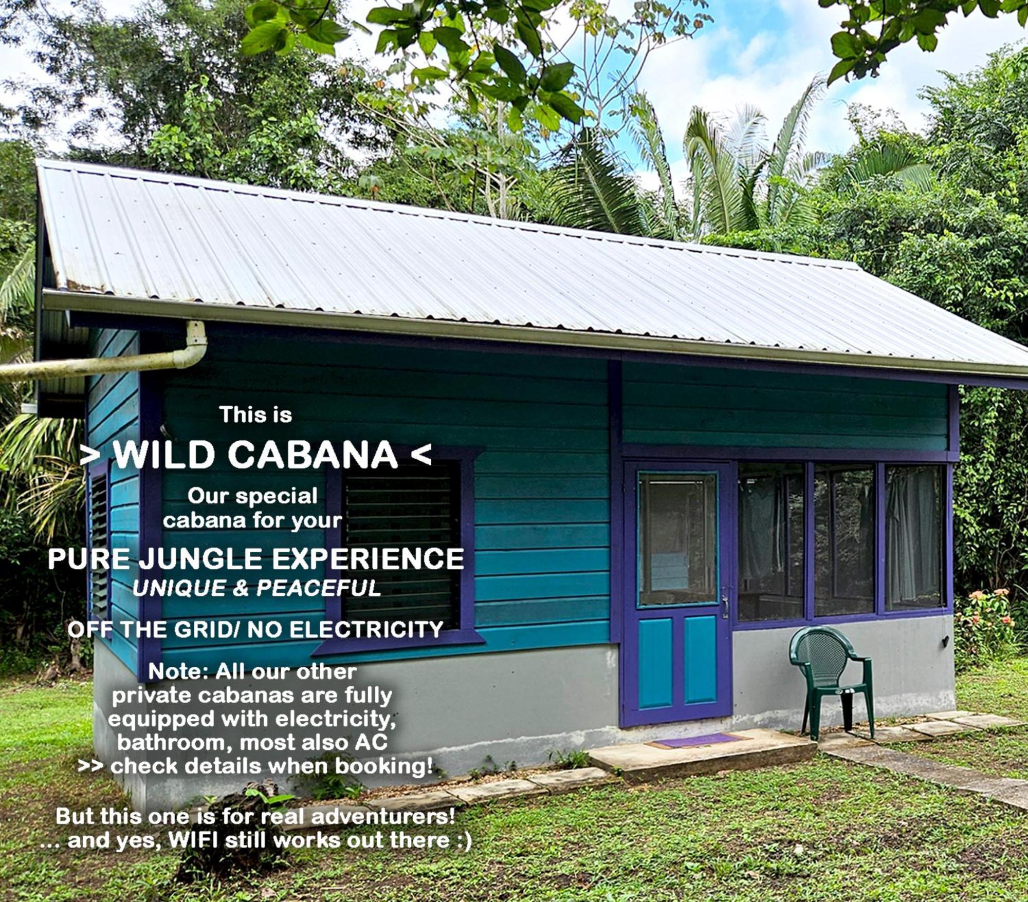 Lower Dover Jungle Lodge & Maya Ruins Unitedville ห้อง รูปภาพ