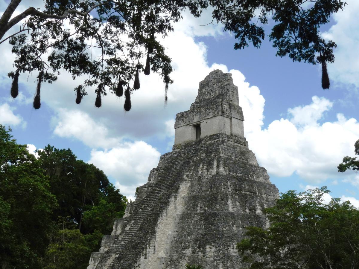 Lower Dover Jungle Lodge & Maya Ruins Unitedville ภายนอก รูปภาพ